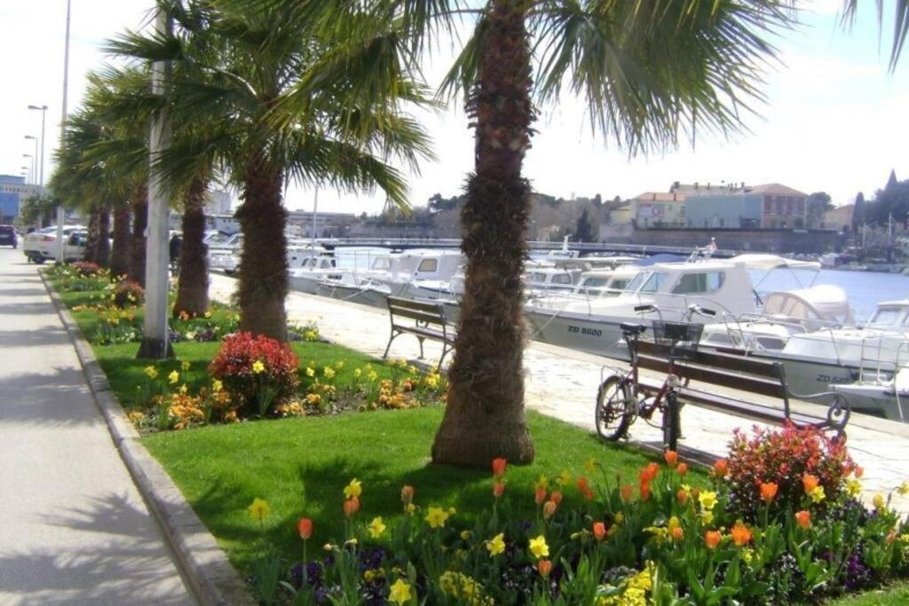 Hygge Zadar Apartment Exterior photo
